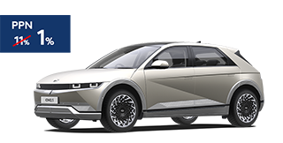 Icon Ioniq 5